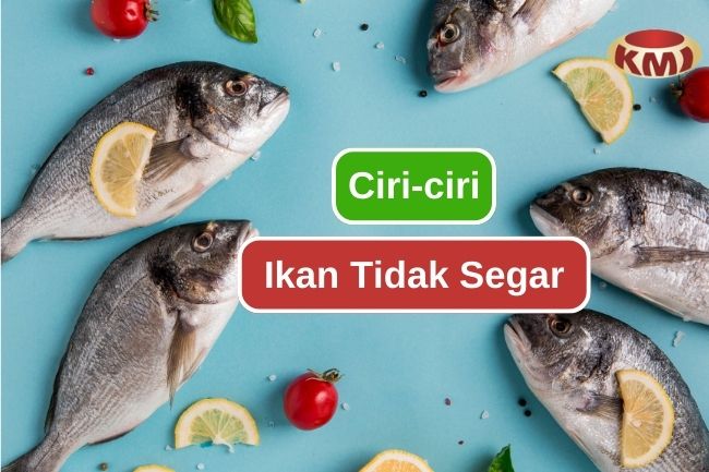 Seperti Inilah 8 Tanda Ikan Sudah Tidak Segar 